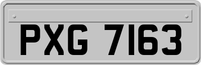 PXG7163