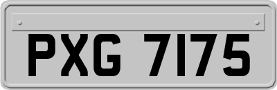 PXG7175