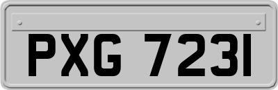 PXG7231