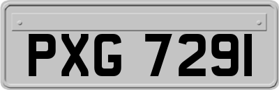 PXG7291