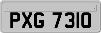 PXG7310