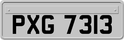 PXG7313