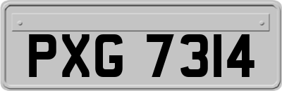 PXG7314