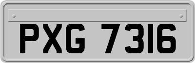 PXG7316