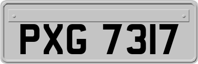 PXG7317