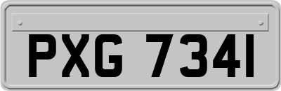 PXG7341