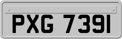 PXG7391