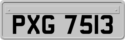 PXG7513