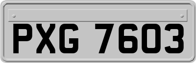 PXG7603