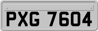 PXG7604