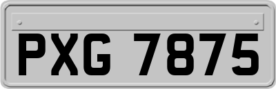 PXG7875