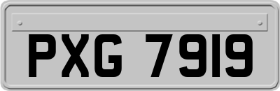 PXG7919