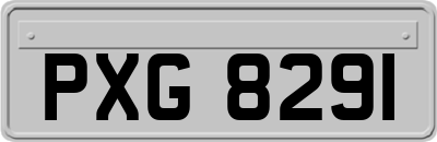 PXG8291