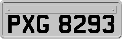 PXG8293