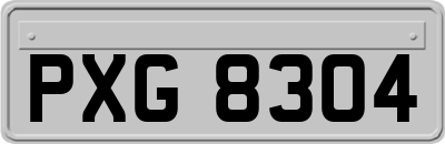 PXG8304