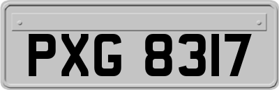 PXG8317