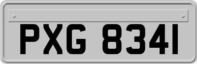 PXG8341