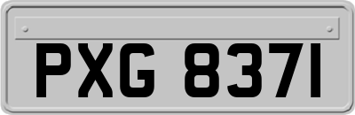 PXG8371