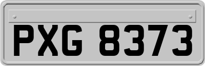 PXG8373