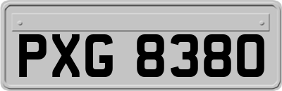 PXG8380