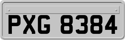PXG8384