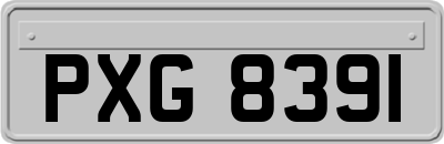 PXG8391