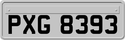 PXG8393