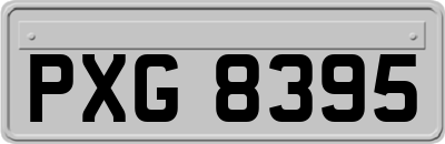 PXG8395