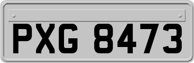 PXG8473