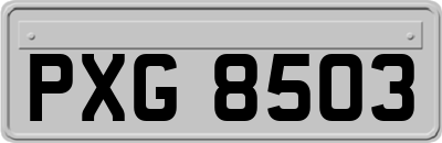 PXG8503