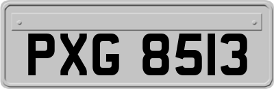 PXG8513