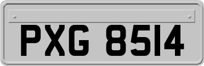 PXG8514