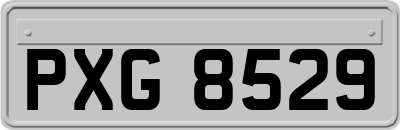 PXG8529