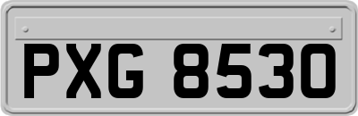 PXG8530