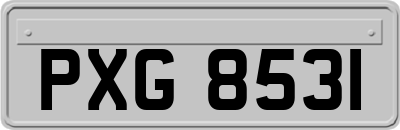 PXG8531