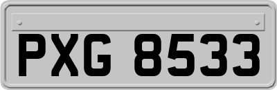 PXG8533