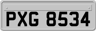 PXG8534