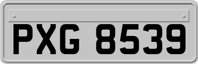 PXG8539