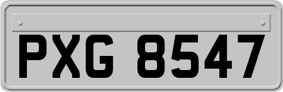 PXG8547