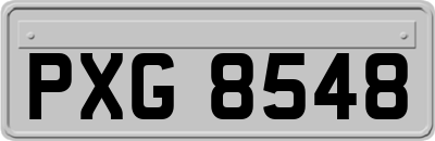 PXG8548