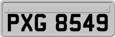 PXG8549