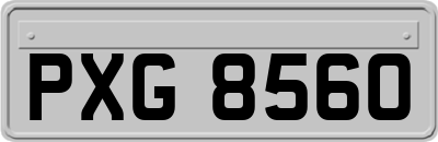 PXG8560