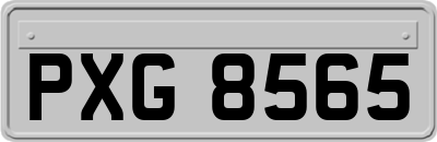 PXG8565