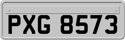 PXG8573