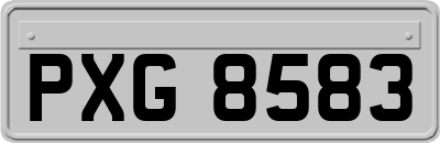 PXG8583