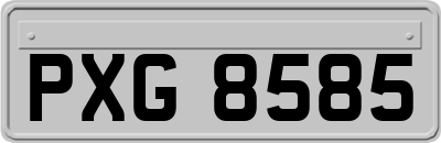 PXG8585