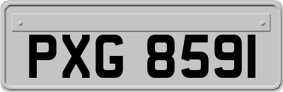 PXG8591