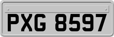 PXG8597