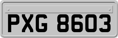 PXG8603