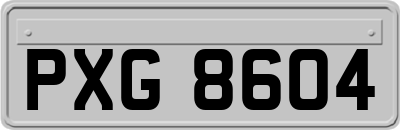 PXG8604